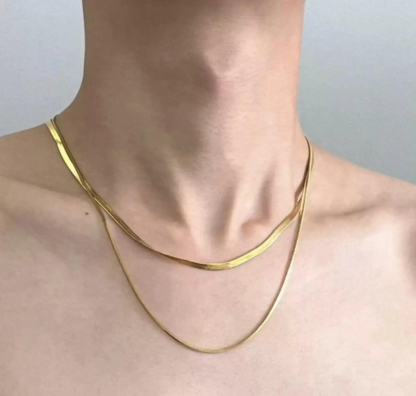 OH Double-Layer Snake Bone Necklace-korean-fashion-Necklace-OH Atelier-OH Garments